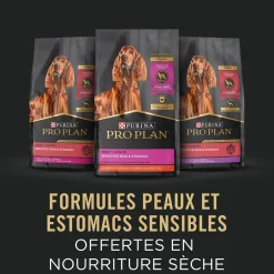 Turkey & Oat Meal Entrée Classic Adult Sensitive Skin & Stomach Wet Dog Food, 368 g