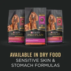 Turkey & Oat Meal Entrée Classic Adult Sensitive Skin & Stomach Wet Dog Food, 368 g