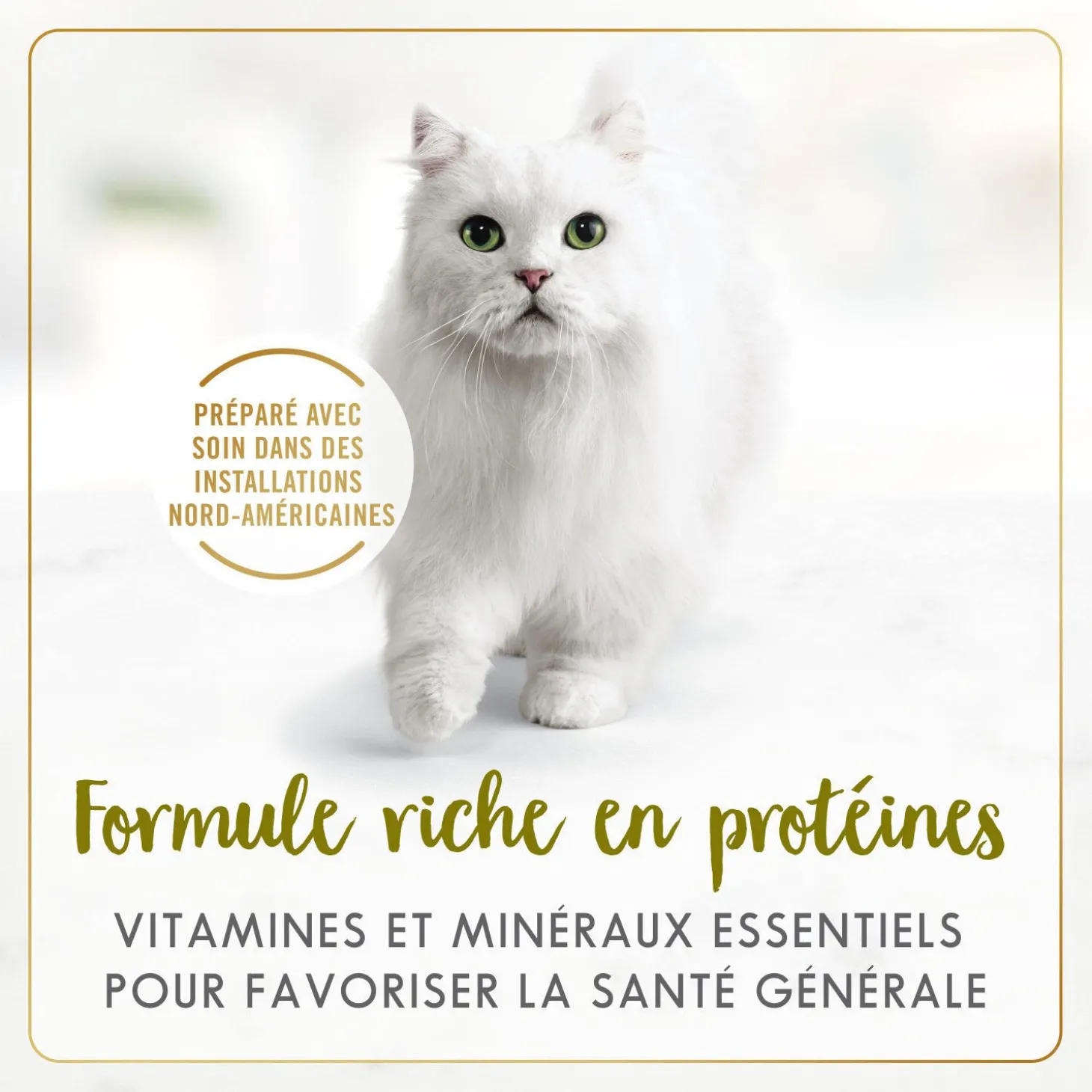 Turkey and giblets wet food for adult cats