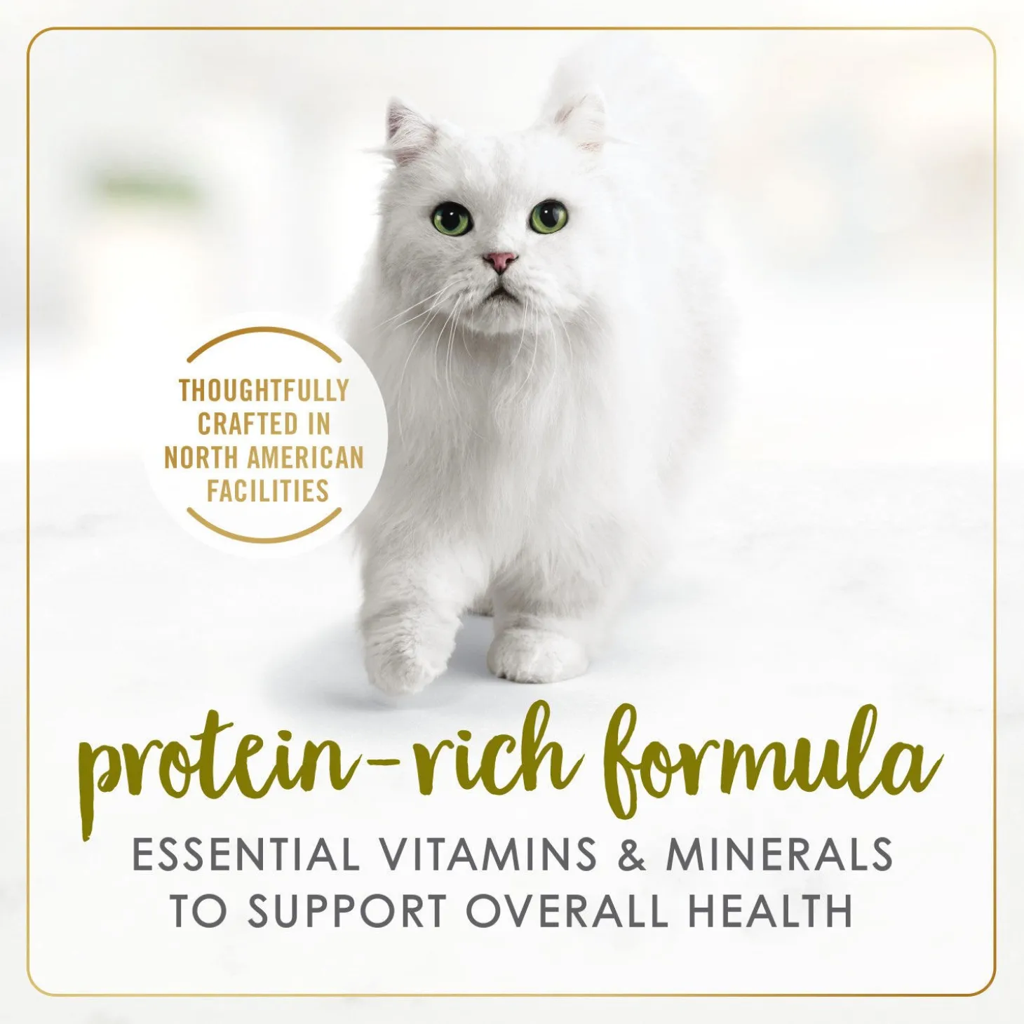 Turkey and giblets wet food for adult cats