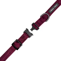 Utility Collar for Dogs