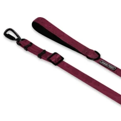Utility Leash for Dogs