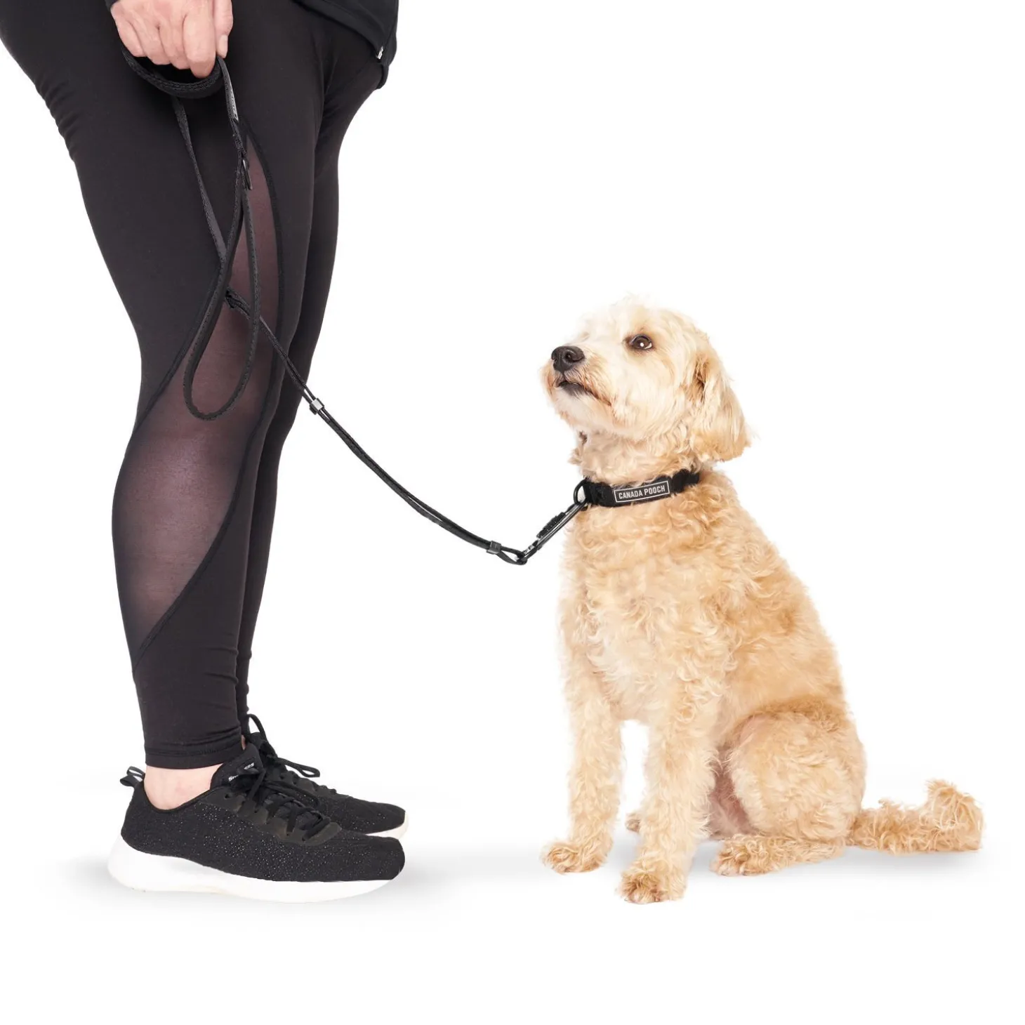 Utility Leash for Dogs