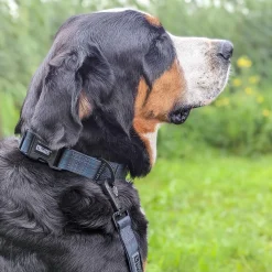Varsity Plaid Silicone Dog Collar