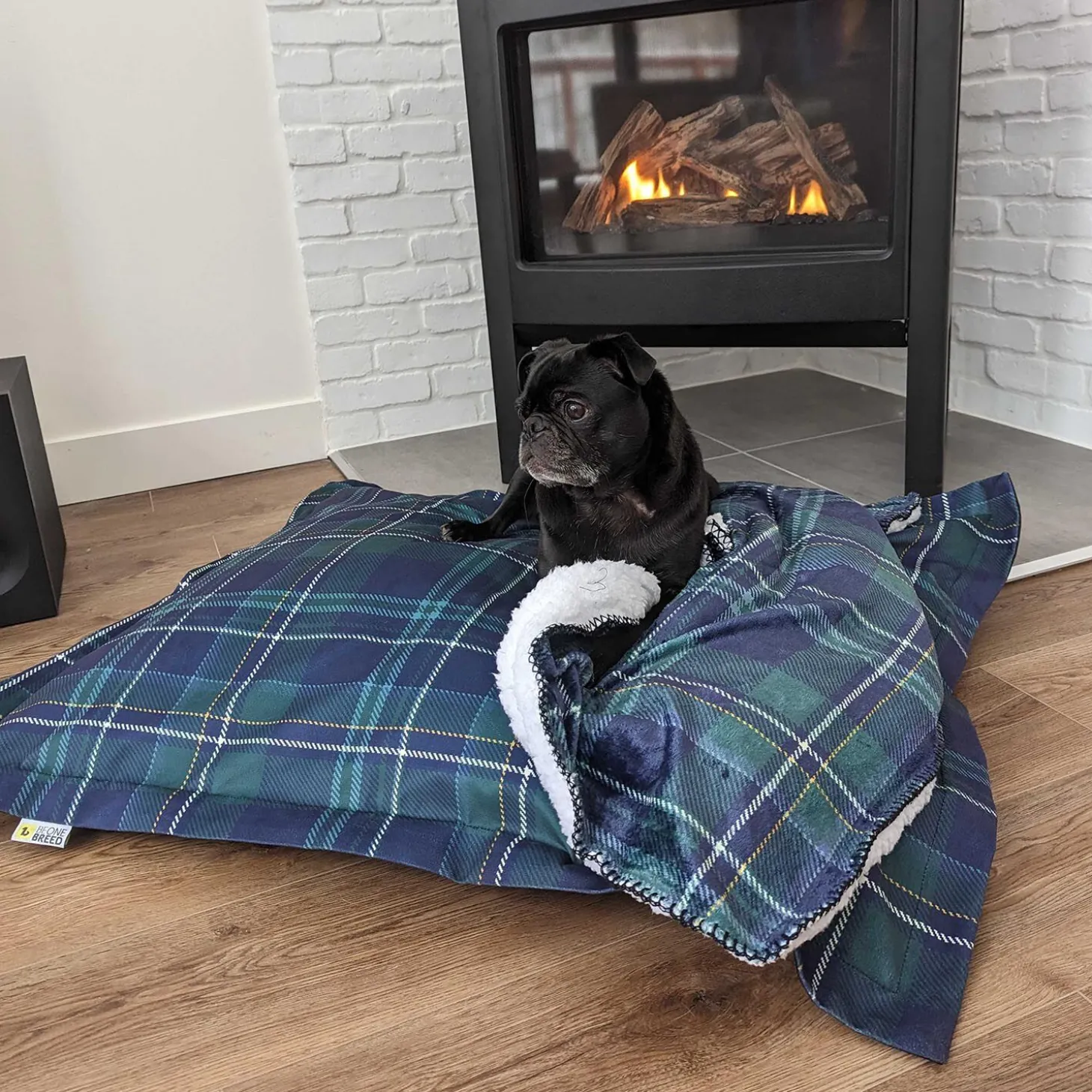 Varsity Plaid Soft Blanket