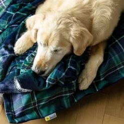 Varsity Plaid Soft Blanket