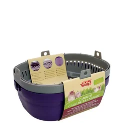 Violet carrier for small pets