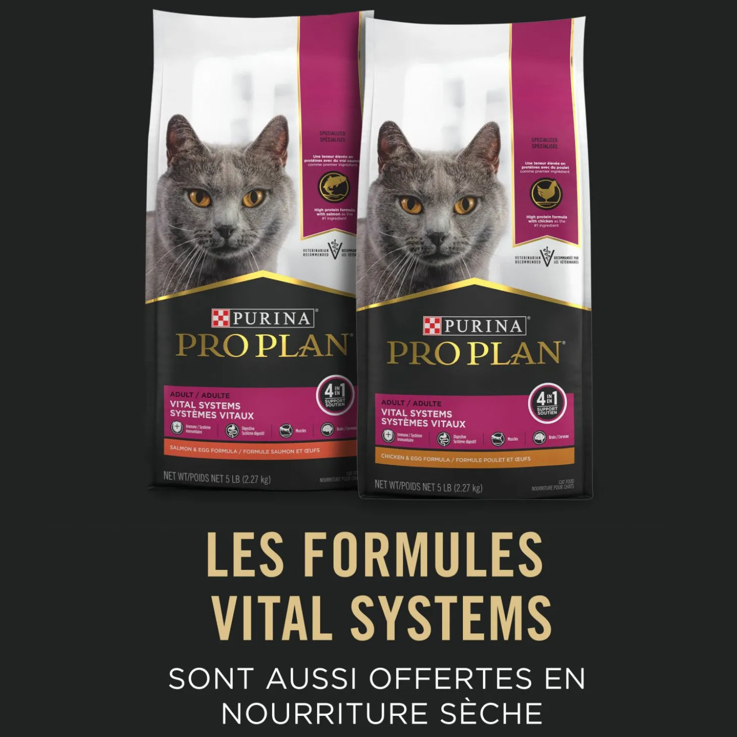 Vital Systems Sole Entrée in Gravy for Cats, 85 g