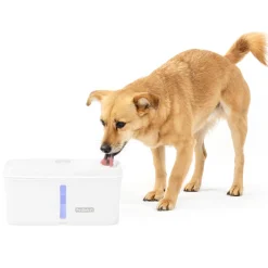 Viva™ Water Fountain, 4,1 L