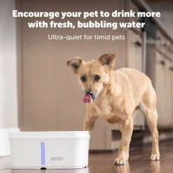 Viva™ Water Fountain, 4,1 L