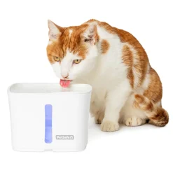 Viva™ Water Fountain, 1.8 L