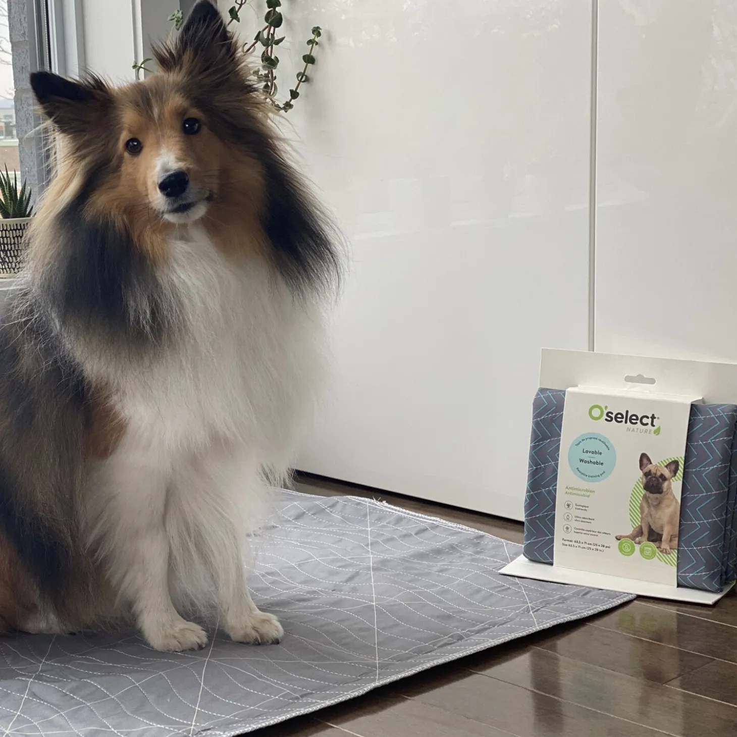 Washable training pad, herringbone