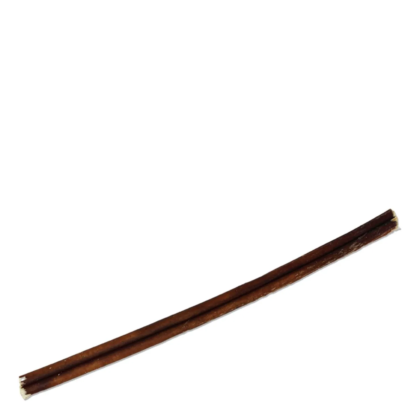 Water Buffalo Horn