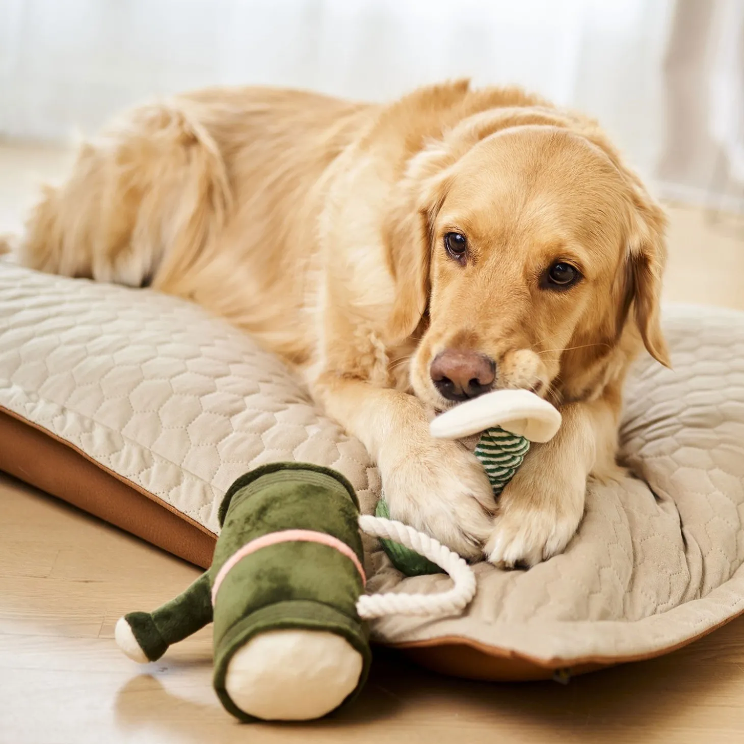Watering Can Plush Toy for Dogs