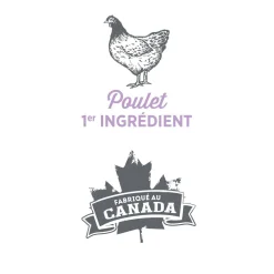Weight management pâté for dogs, fresh chicken