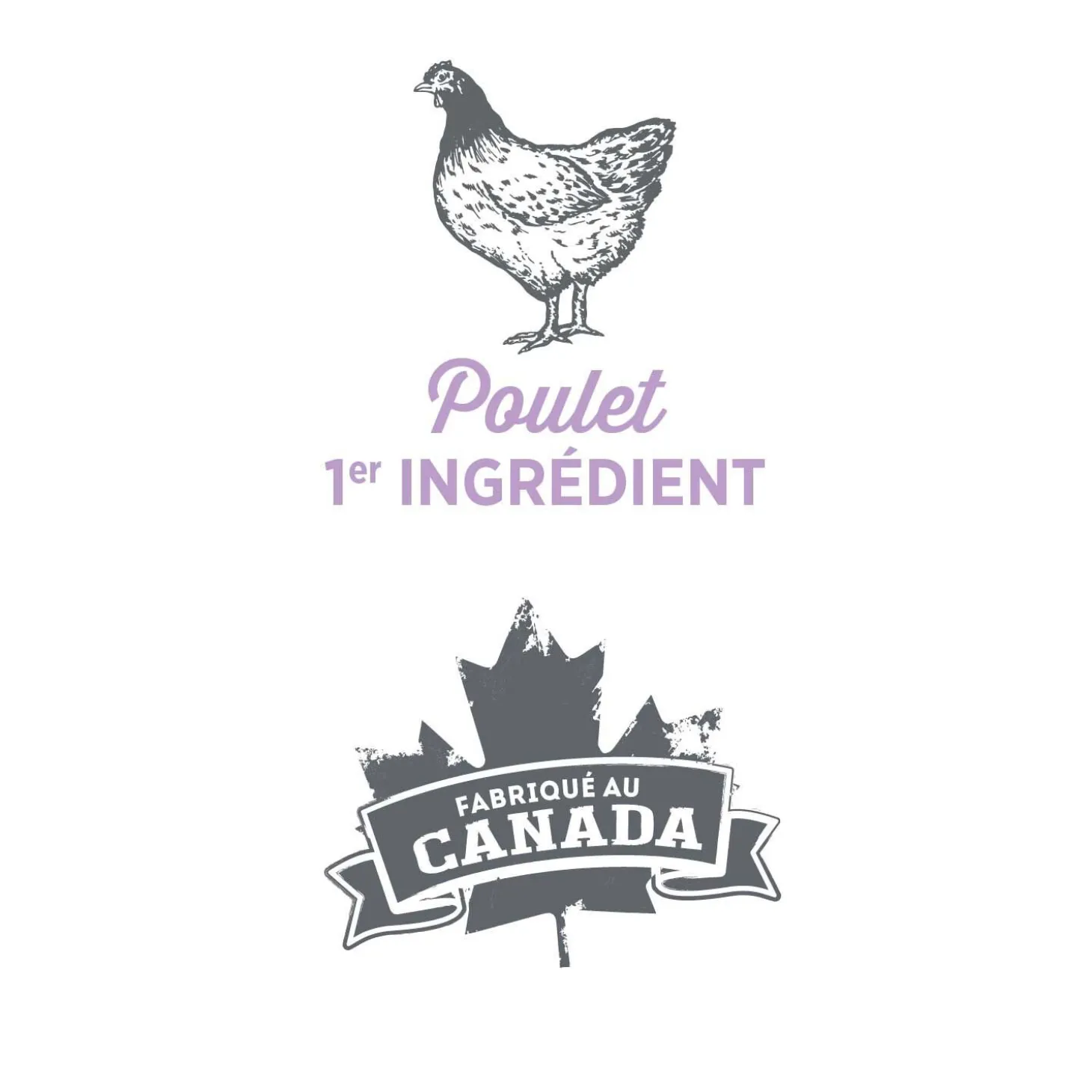 Weight management pâté for dogs, fresh chicken