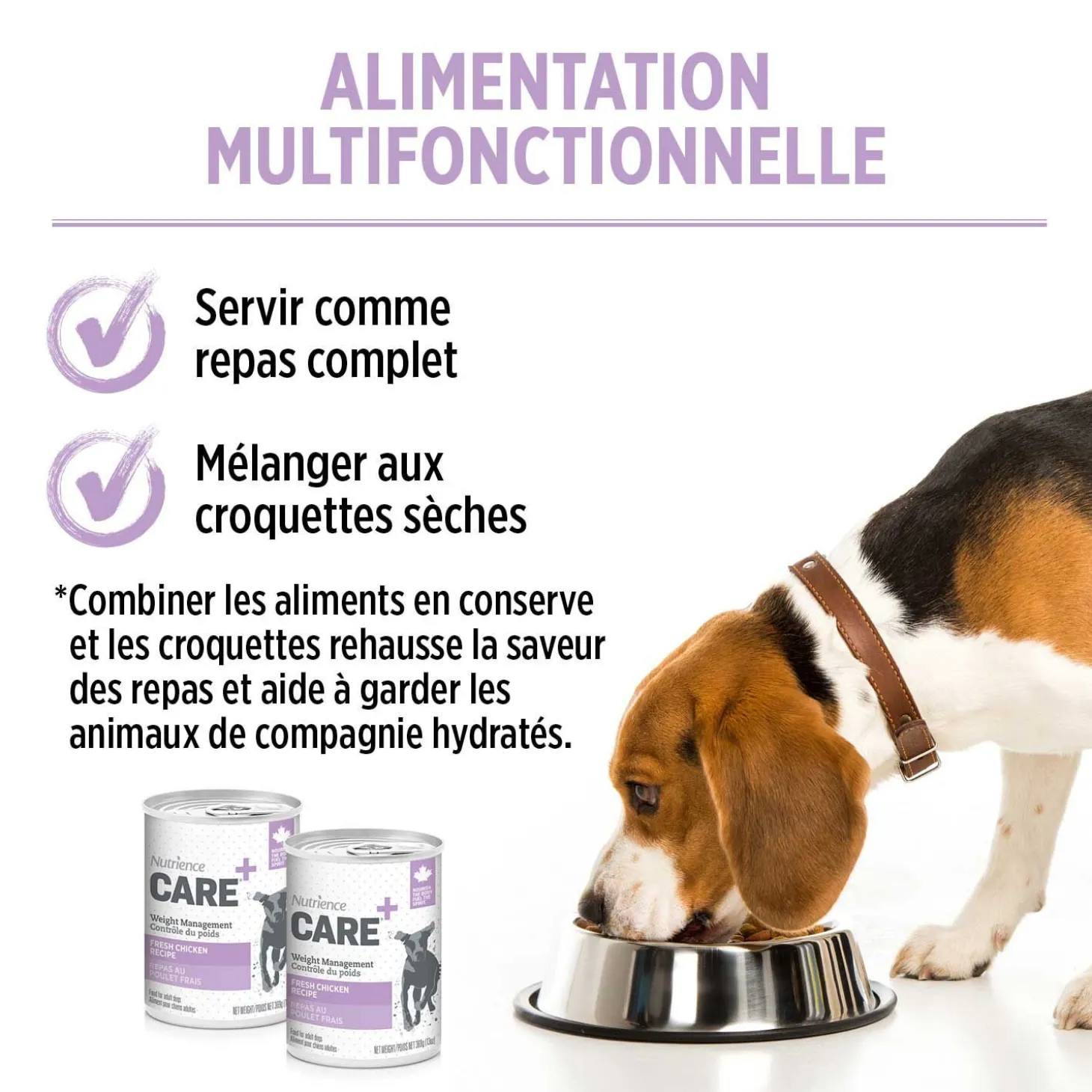 Weight management pâté for dogs, fresh chicken