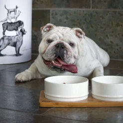 White Ceramic Bowls with Bamboo Base