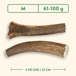 Whole Antler Dog Chew, Nature
