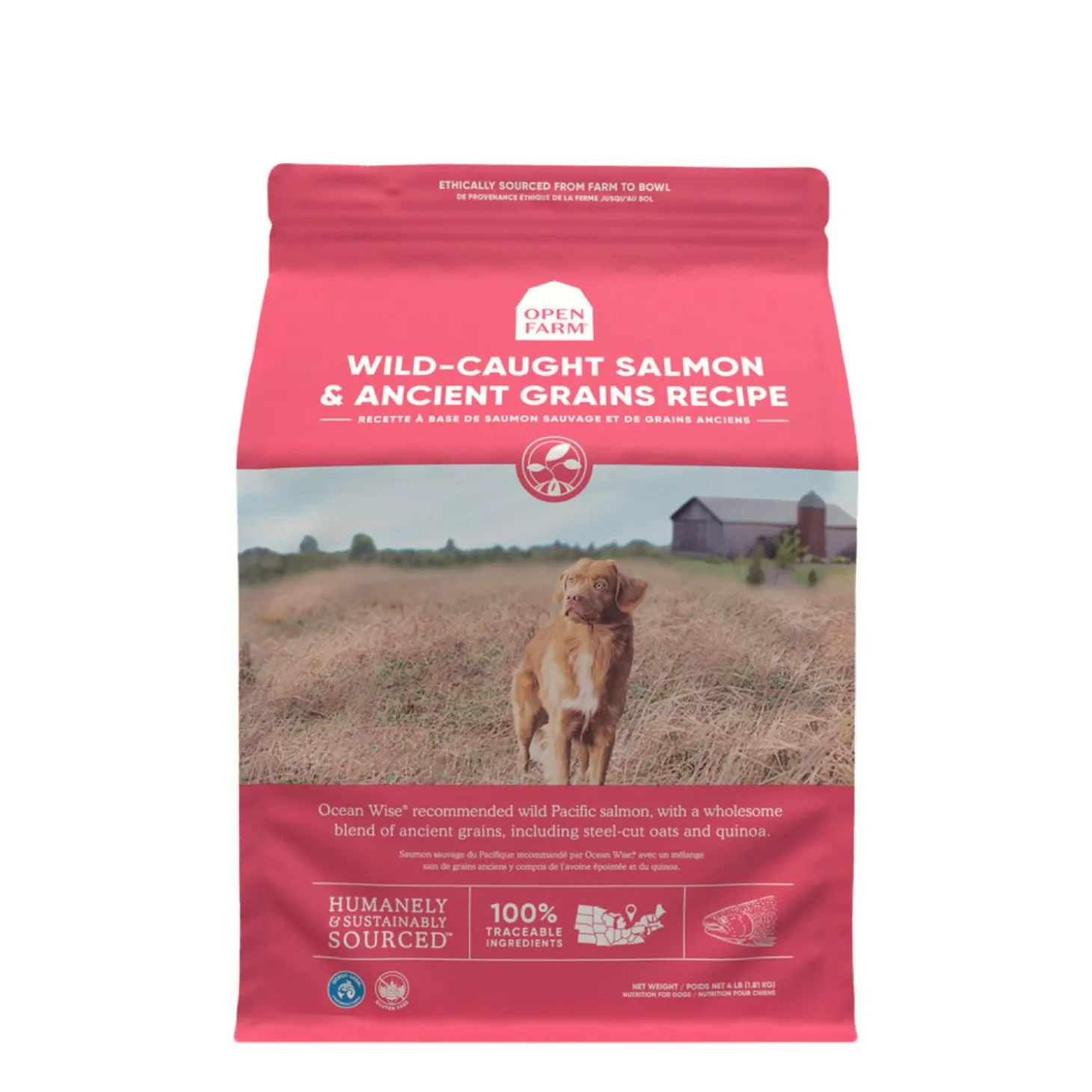 Wild-caught salmon & ancient grains dry dog food