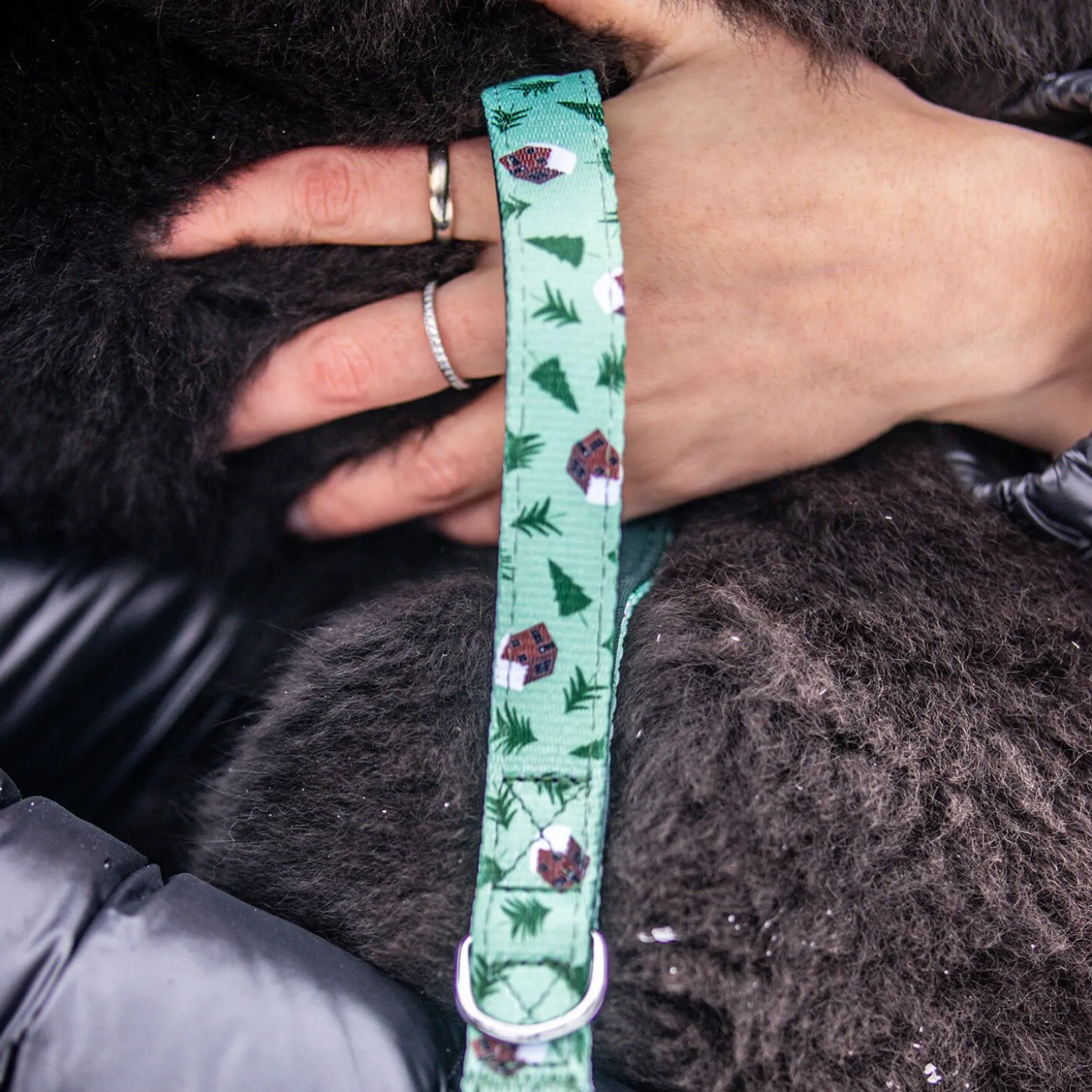 Winter Lodge Dog Leash, S