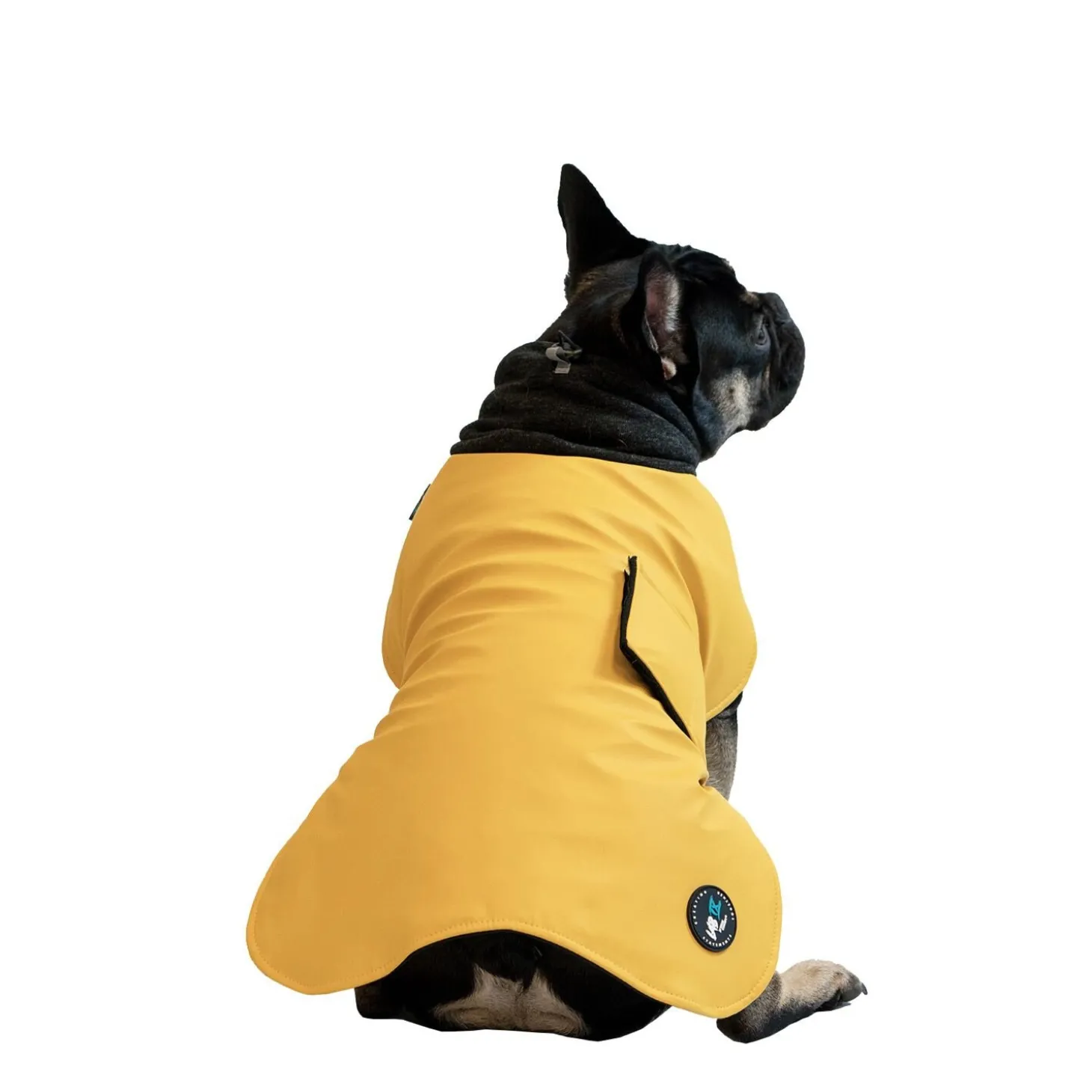 Wintertide Yellow Dog Coat, 24