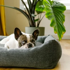 Woven Cozy Bed