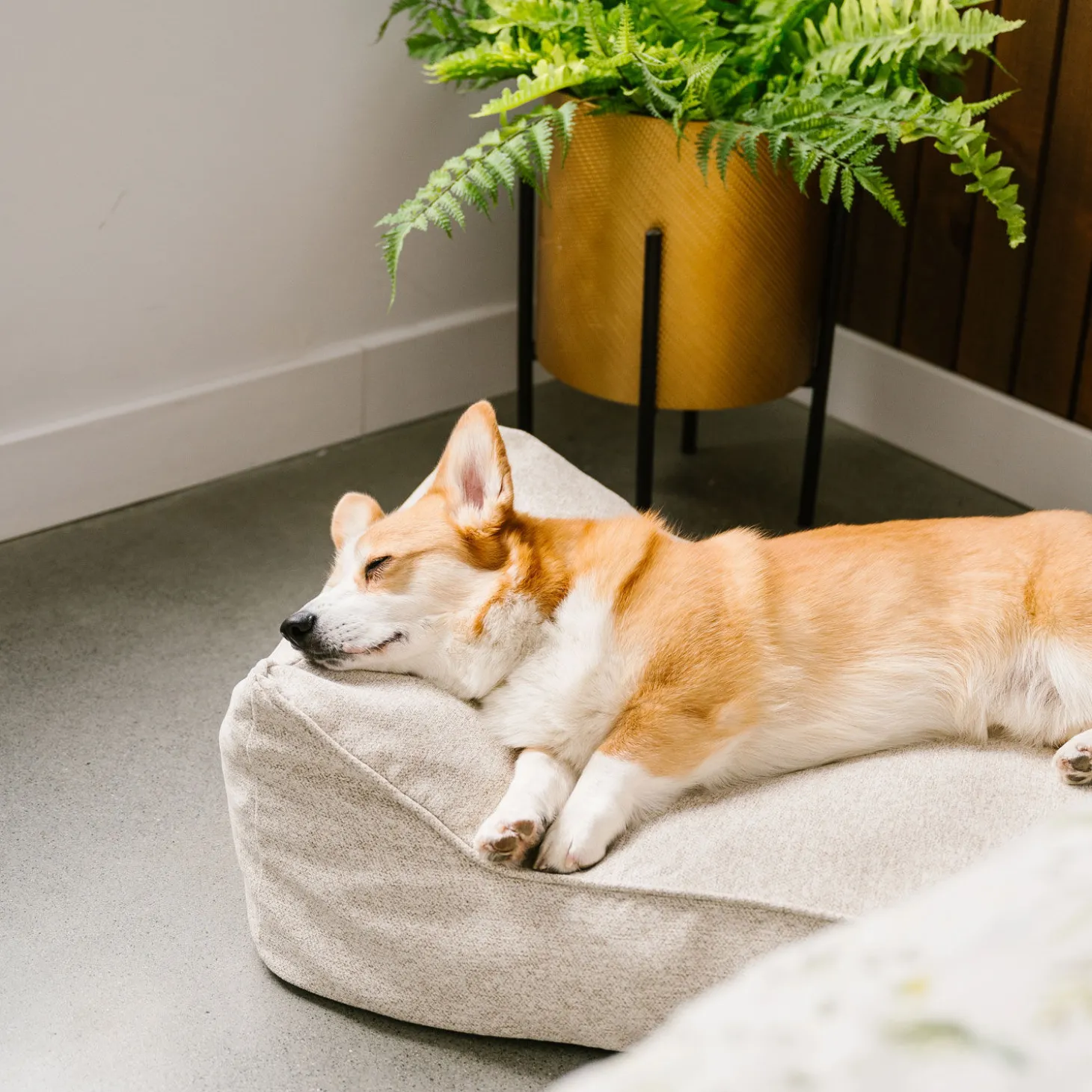 Woven Therapet Bed