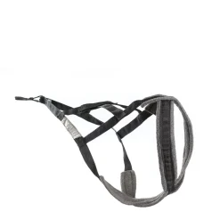 X-Back classic dog harness for towed sports