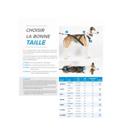 X-Back classic dog harness for towed sports